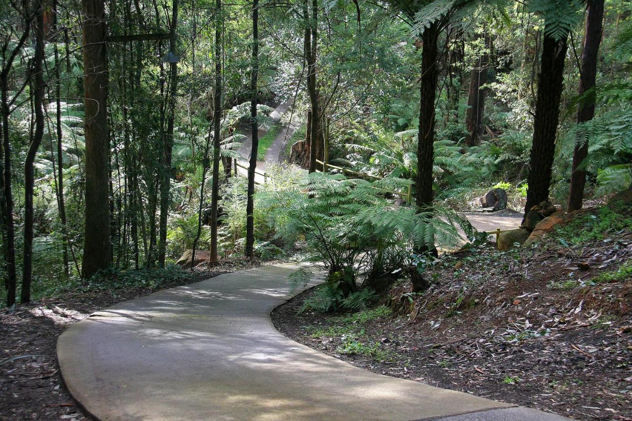 FernGlen Forest Retreat Mount Dandenong Exterior foto
