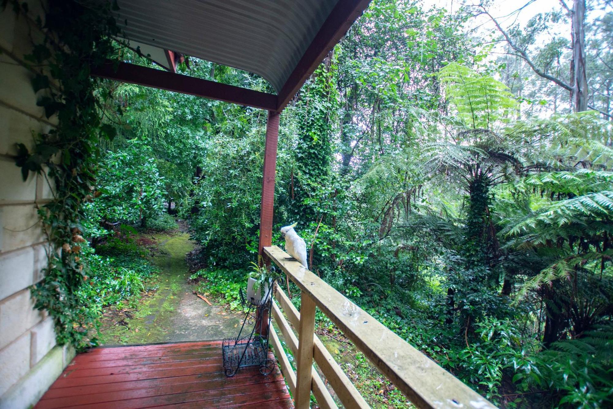 FernGlen Forest Retreat Mount Dandenong Exterior foto