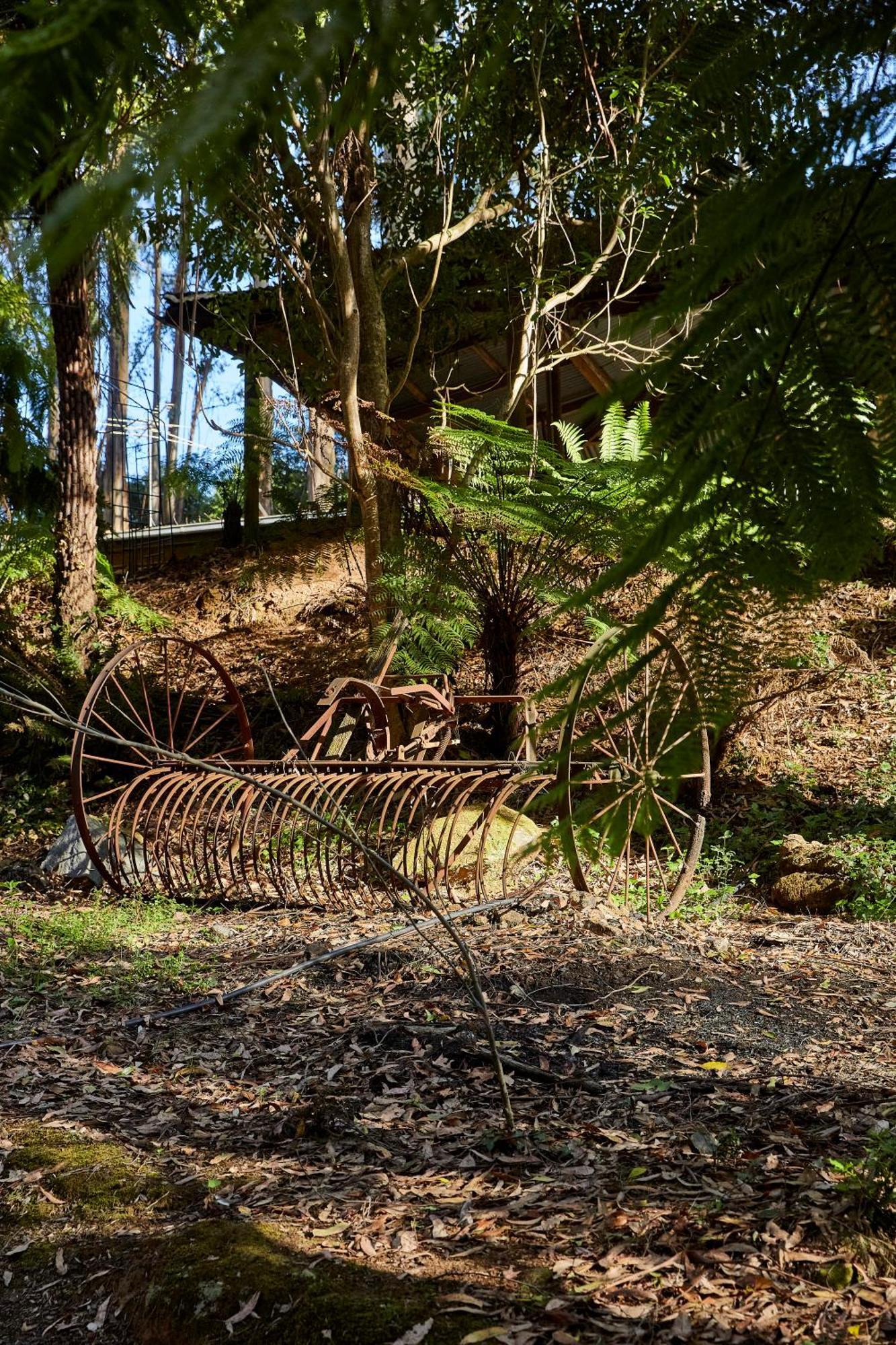 FernGlen Forest Retreat Mount Dandenong Exterior foto