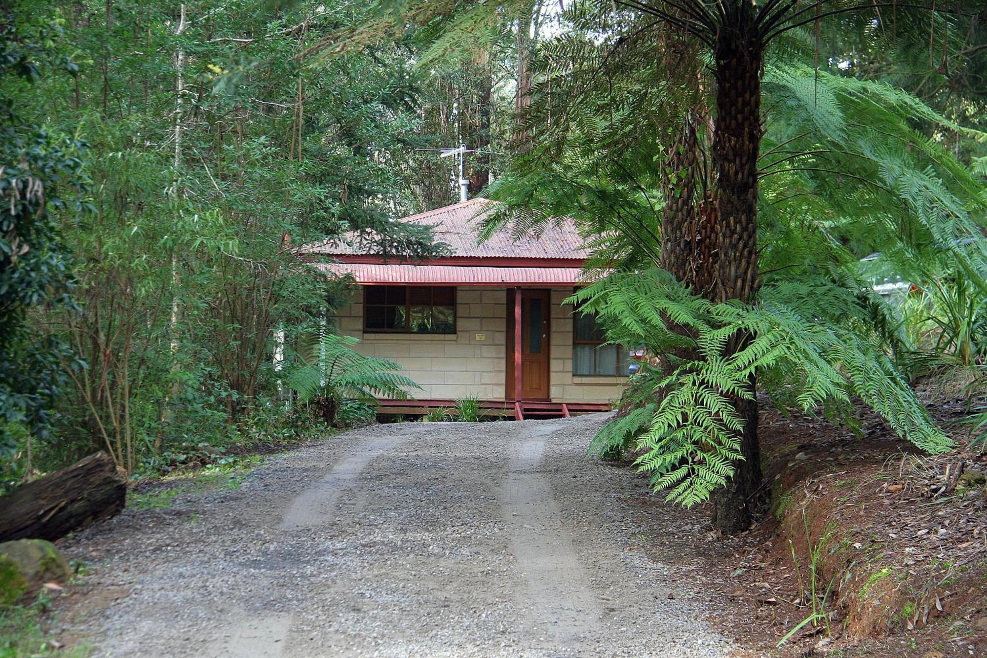 FernGlen Forest Retreat Mount Dandenong Exterior foto