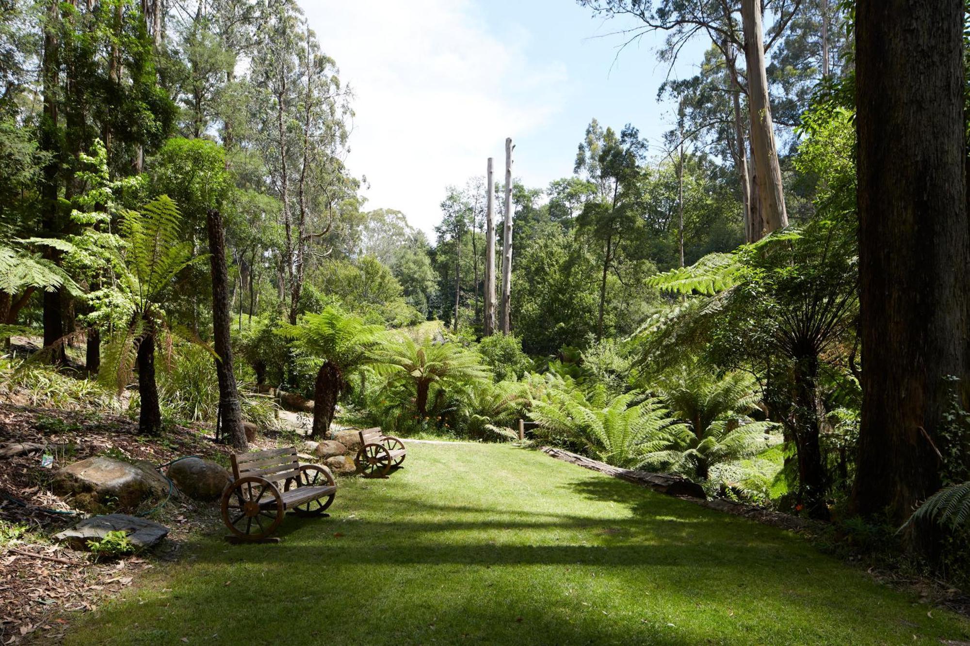 FernGlen Forest Retreat Mount Dandenong Exterior foto