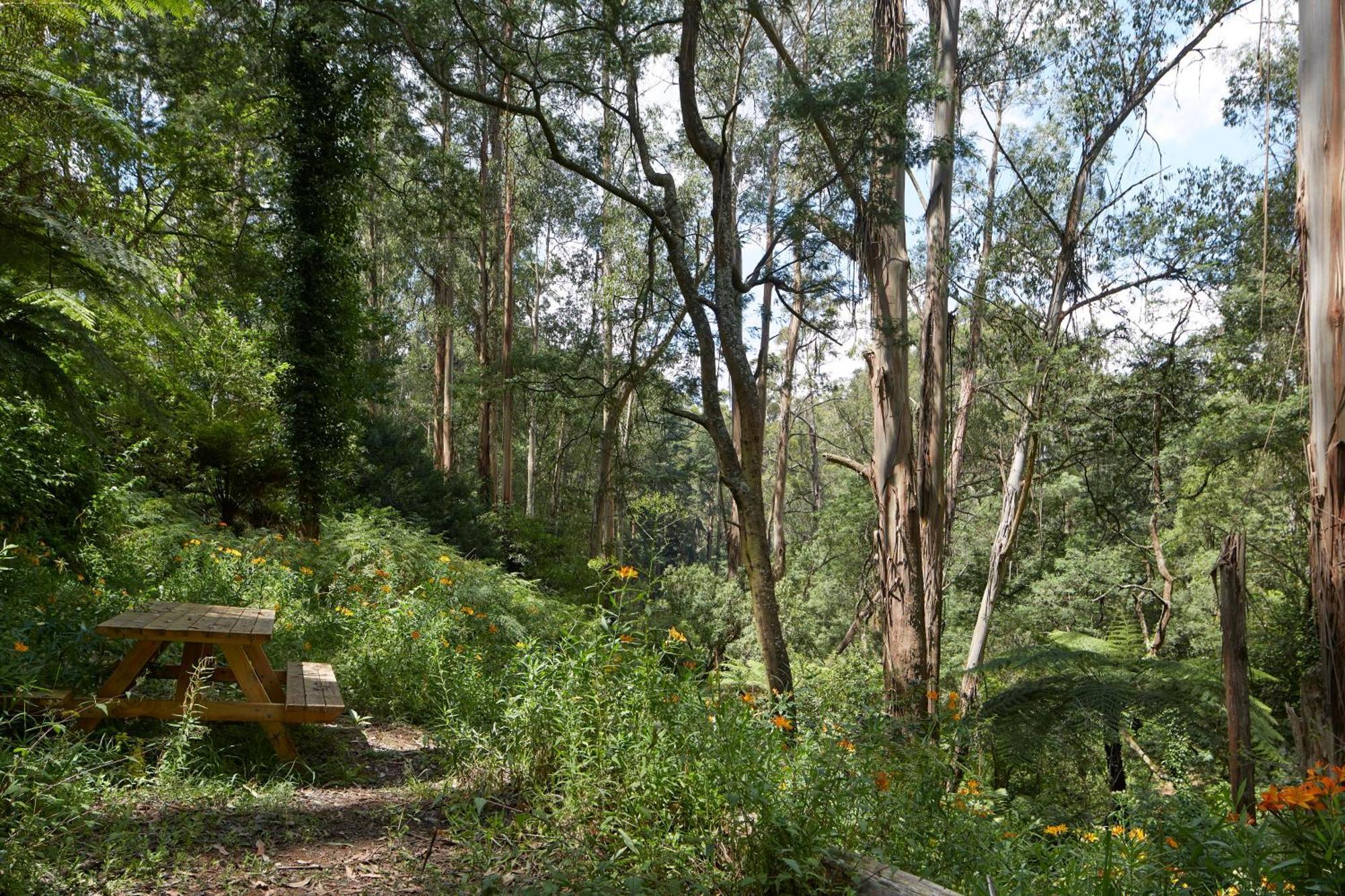 FernGlen Forest Retreat Mount Dandenong Exterior foto