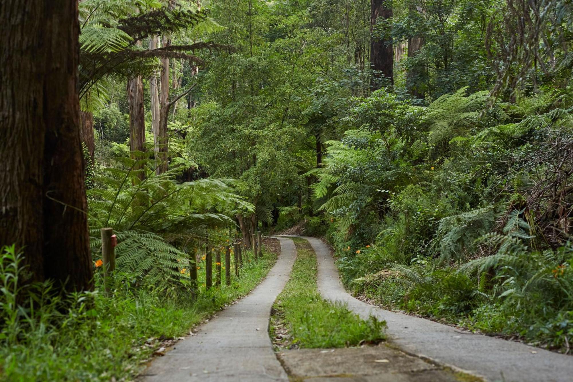 FernGlen Forest Retreat Mount Dandenong Exterior foto