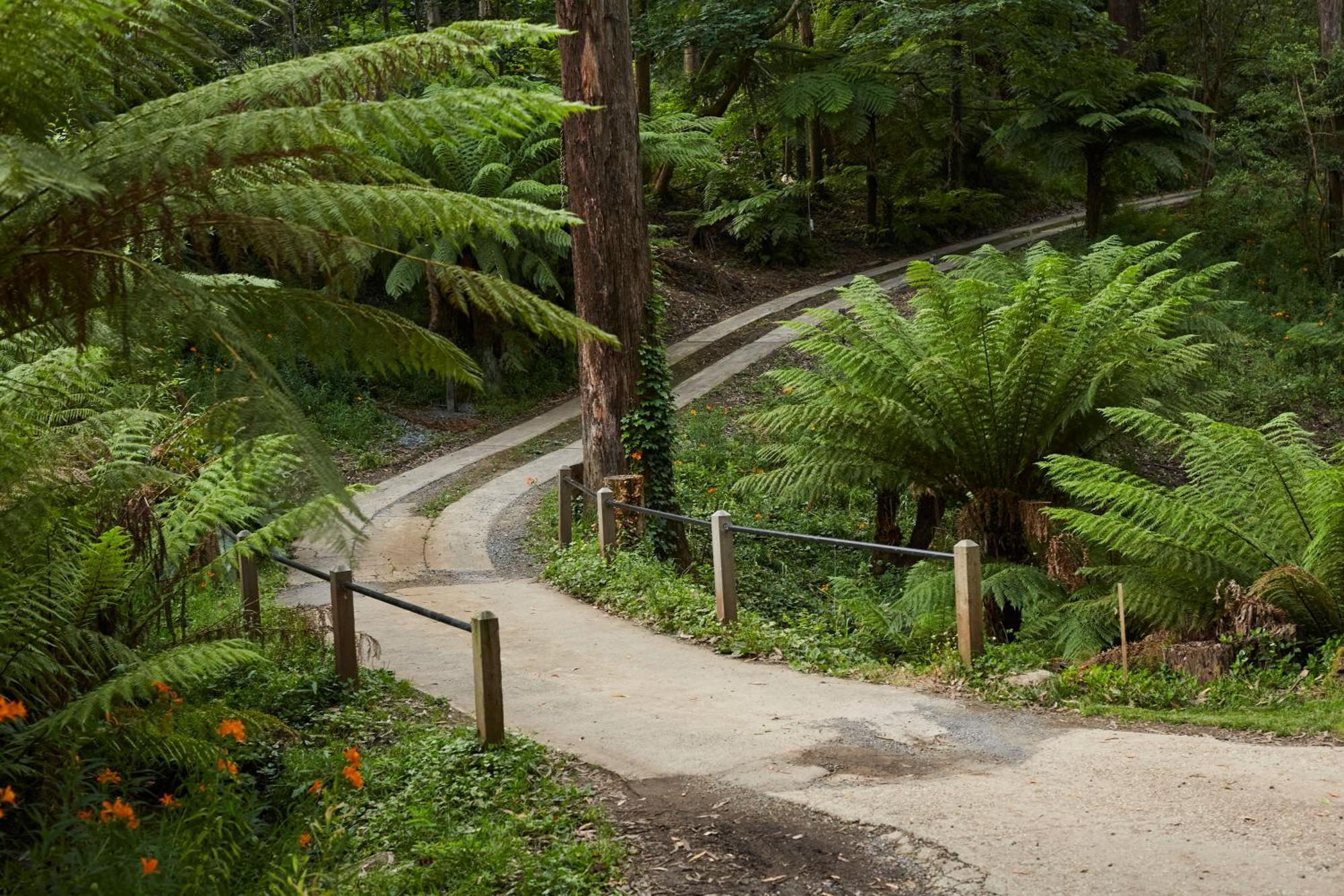 FernGlen Forest Retreat Mount Dandenong Exterior foto
