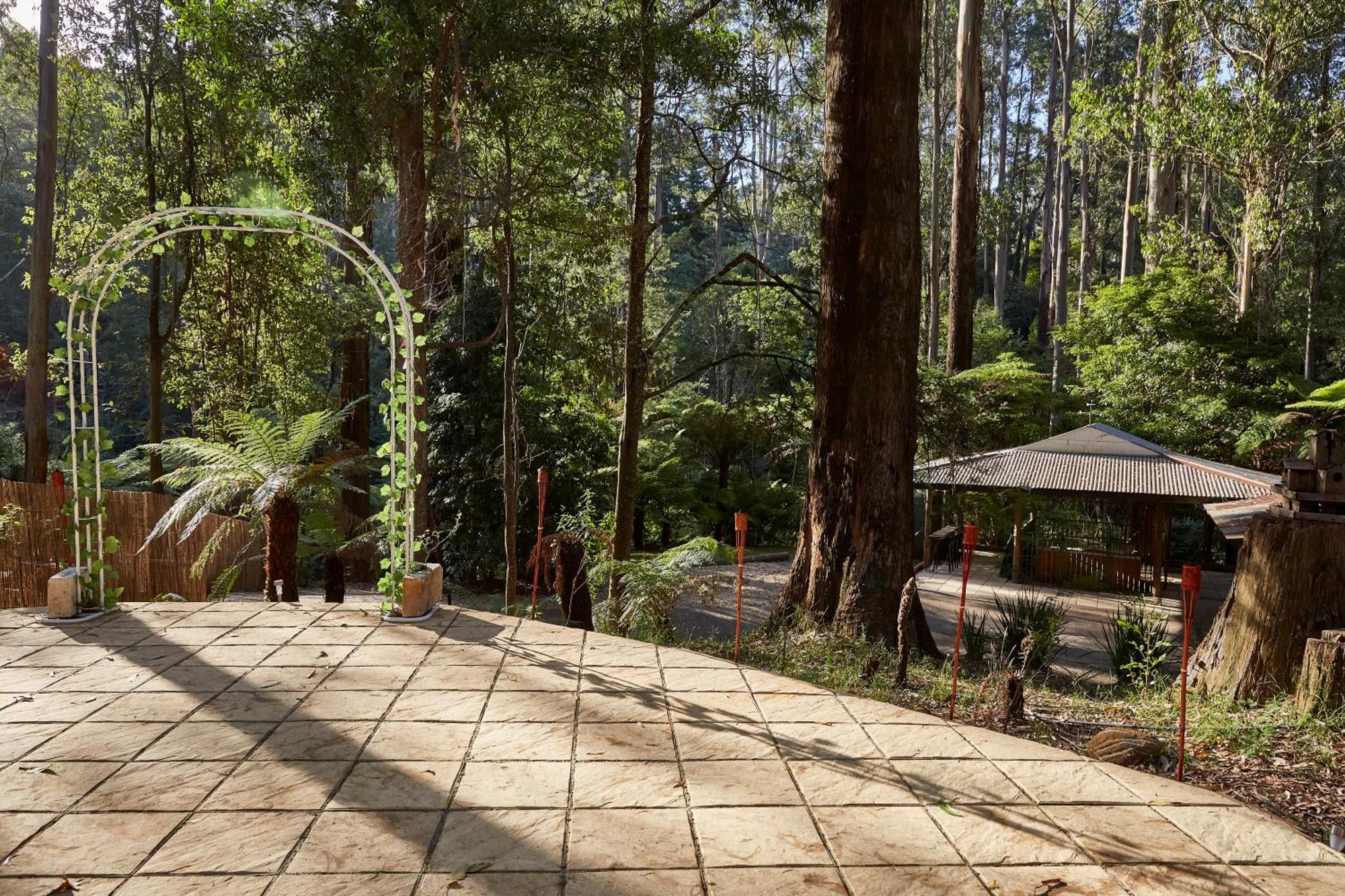 FernGlen Forest Retreat Mount Dandenong Exterior foto