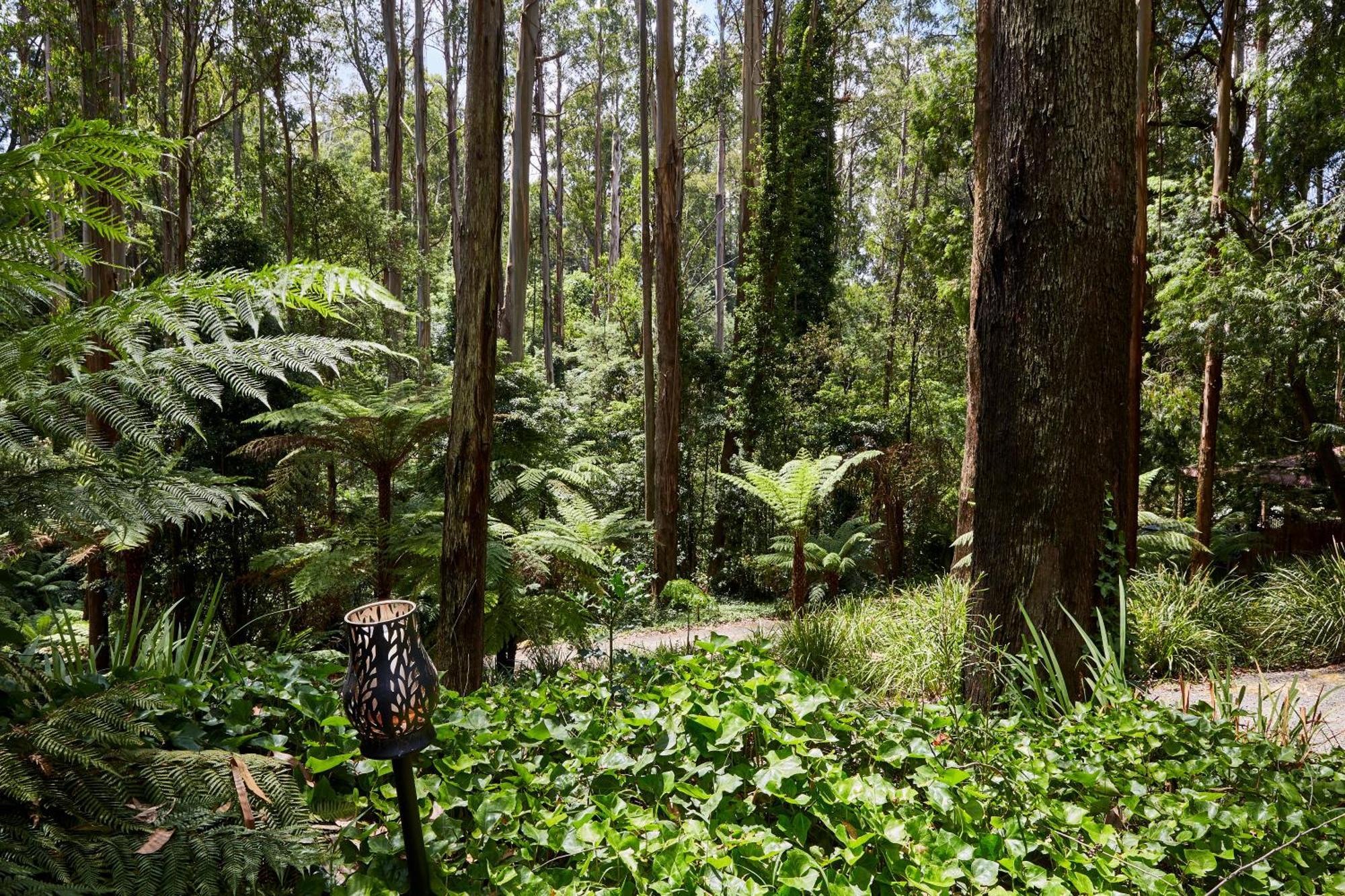FernGlen Forest Retreat Mount Dandenong Exterior foto